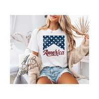 America Banner- DTFilm Transfer