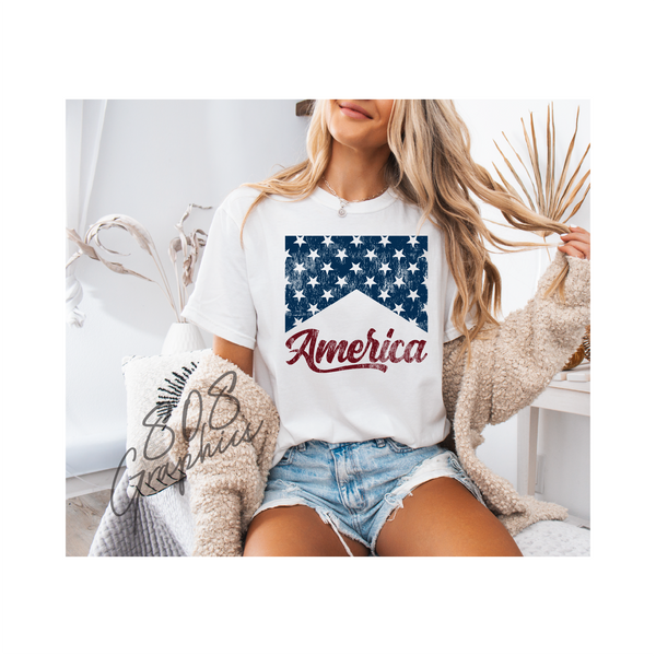 America Banner- DTFilm Transfer