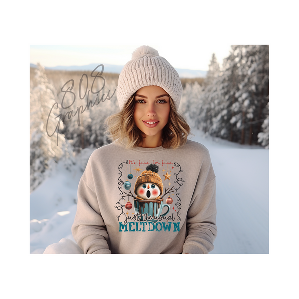 Just The Usual Meltdown- DTFilm Transfer