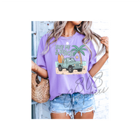 Take Me To The Beach - DTFilm Transfer