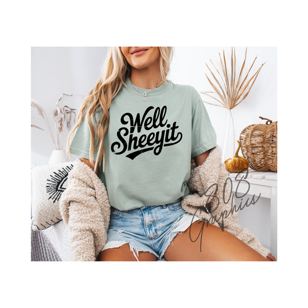 Well Sheeyit- DTFilm Transfer